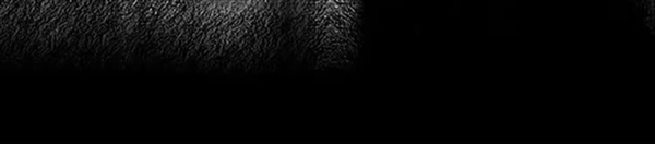 奇趣分分彩：人来即亮 人走缓熄：0秒智能感应LED灯20.9元包邮